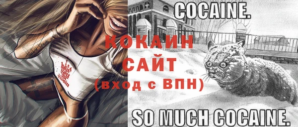 амф Каменногорск