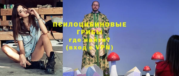 амф Каменногорск